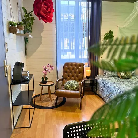 Apartament Pitchoune - Centre -wifi - Equipe Dax