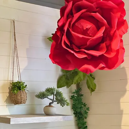 Pitchoune - Centre -wifi - Equipe Dax