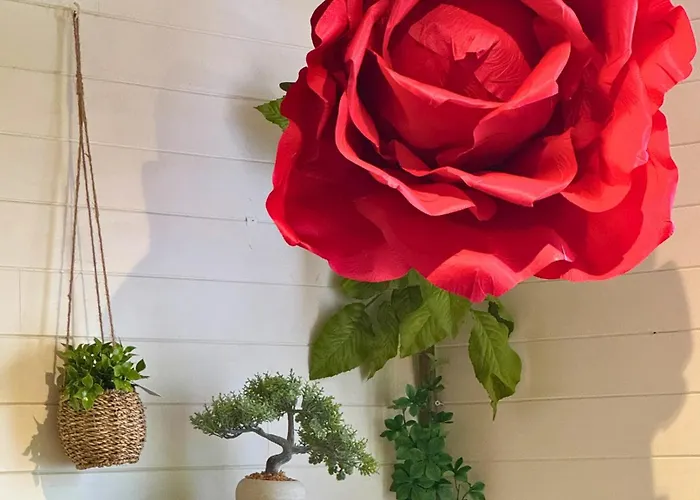 Pitchoune - Centre -wifi - Equipe Dax